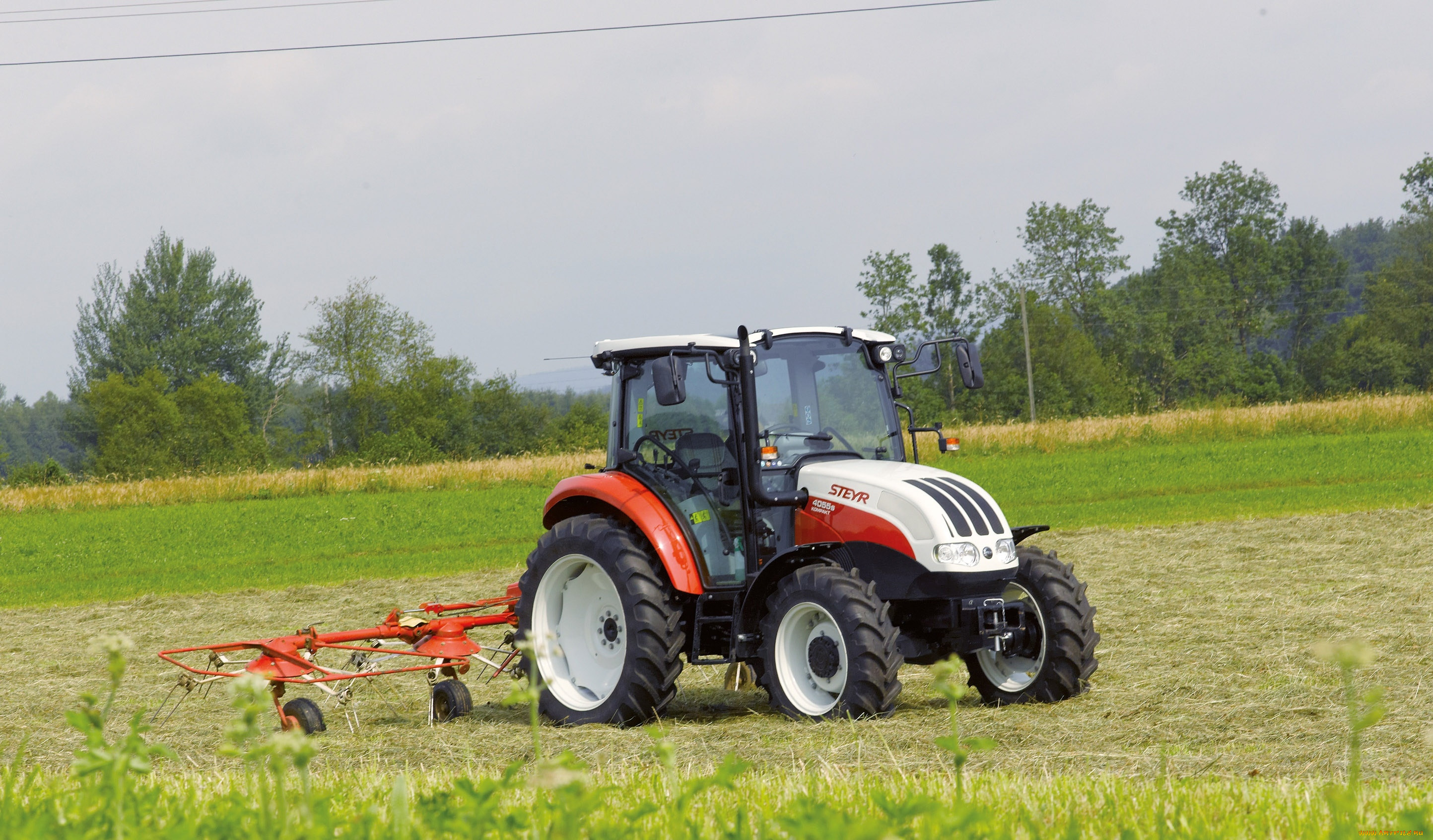 , , steyr